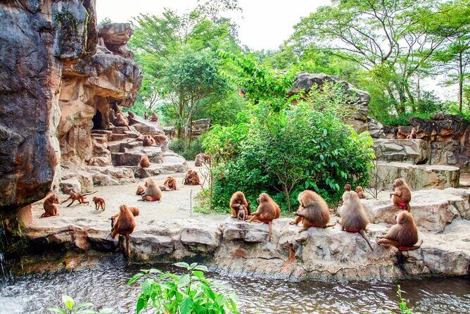 Singapore Zoo - FAQ