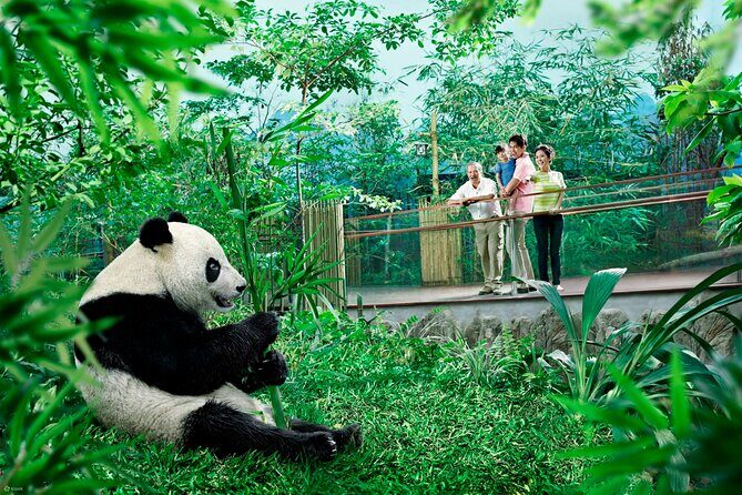 Singapore Zoo & Night Safari Day ( Tickets & Transfer ) - What We Think: The Real Value of This Tour
