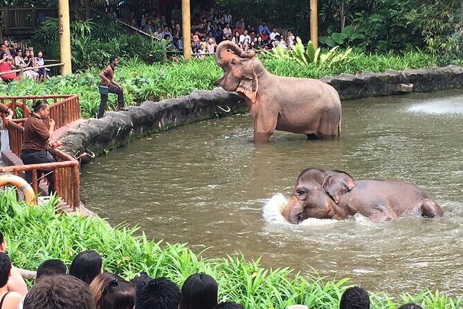 Singapore Zoo & Night Safari Day ( Tickets & Transfer ) - Who This Tour Is Perfect For
