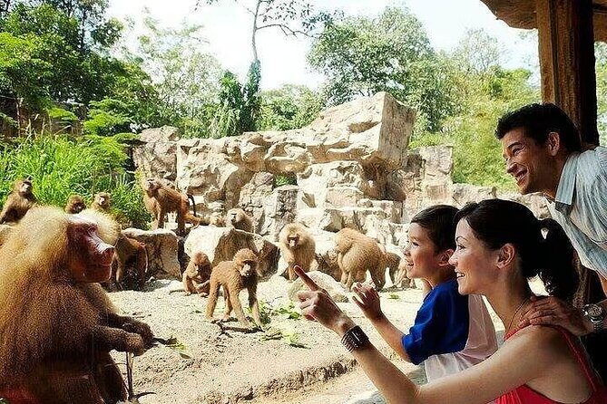 Singapore Zoo with Tram Ride Experience for Tourist - Who Should Book This Tour?