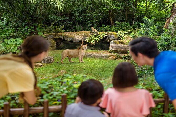 Singapore Zoo with Tram Ride Experience for Tourist - The Sum Up