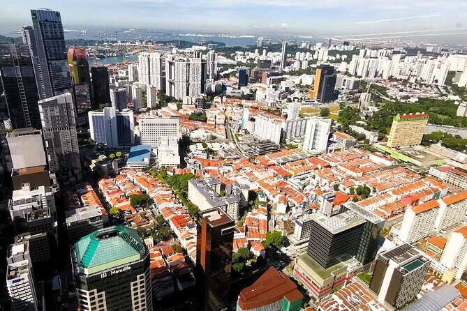 Singapore's Historic Chinatown Walking Tour with Lunch - Who Will Love This Tour?