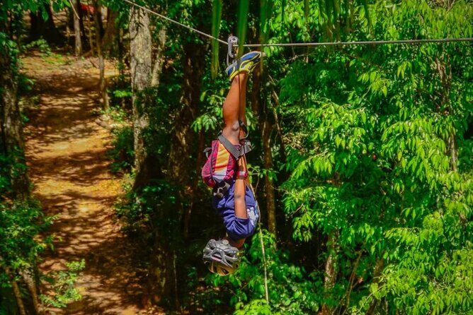 Single ATV Ride with Ziplines and Underground Cenote Cave Tour - Why This Tour Is a Great Choice