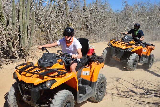 Single ATV Tour from Migriño Beach & Desert - A Deep Dive into the Baja ATV Experience