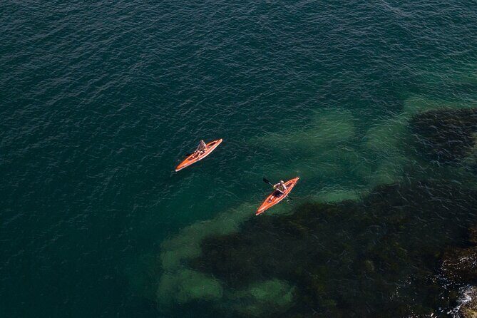 Single Kayak Hire - 4 Hours - Why Choose a 4-Hour Kayak Adventure in Manly?