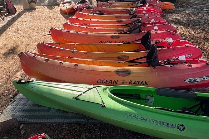 Single Kayak Rental - An In-Depth Look at the Kayak Rental Experience