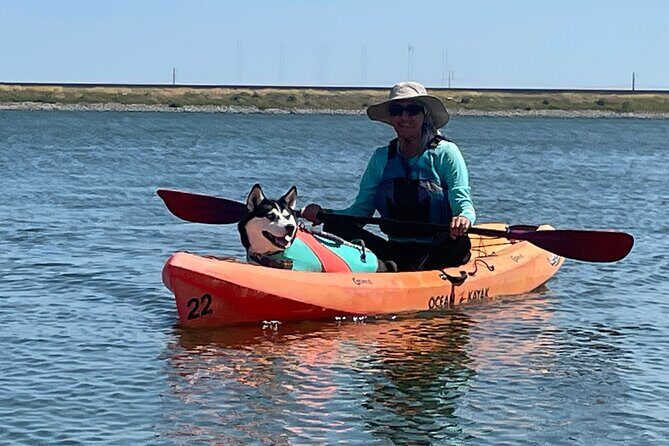 Single Kayak Rental - What Travelers Can Expect: The Realities of Kayaking at Panther Island Beach