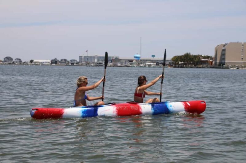 Single Kayak Rental in Ocean City, MD - Who Will Love This?