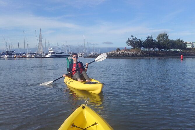 Single Kayak Rental in Redwood City - A Close Look at Redwood Water Sports’ Kayak Rental