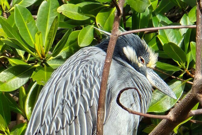 Single Kayak Rentals at The Bay - Practical Details and What to Expect