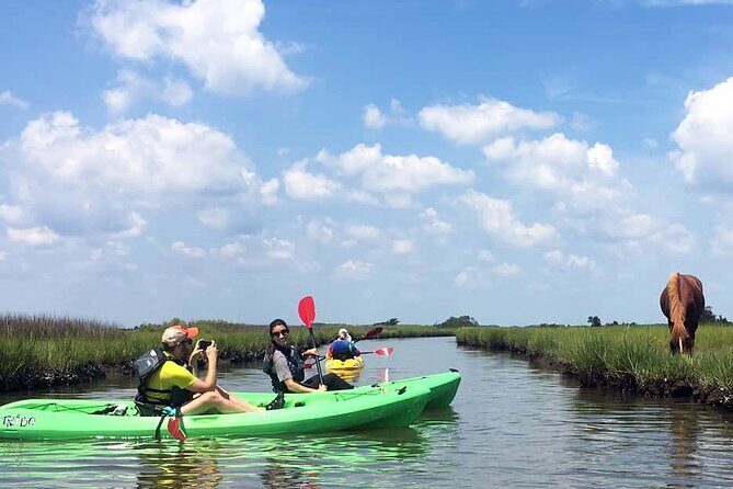 Single Sit on Top Kayak Rental at Assateague Island, MD - Exploring the Assateague Kayak Experience