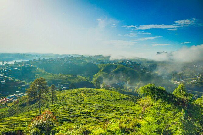 Single Tree Hill Hike from Nuwara Eliya - Key Points