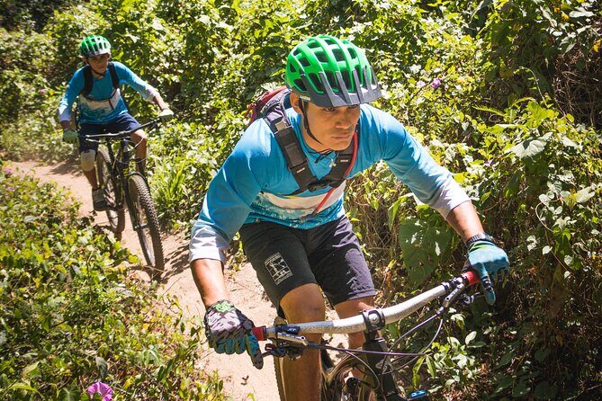 SINGLETRACK MOUNTAIN BIKE - Guided through the jungle - FAQ