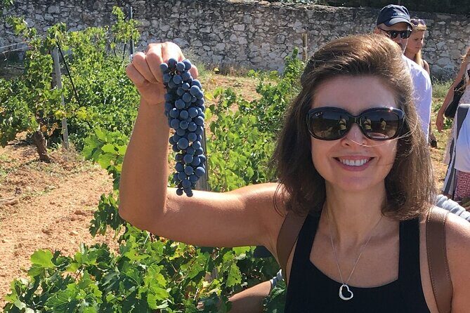 Singular Valencia Wine Tour Utiel Requena Wineries - Authentic Experiences and Hidden Gems