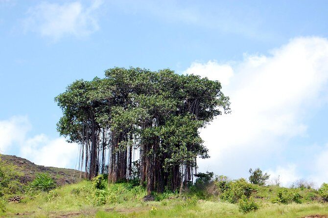 Sinhagad Fort Trip (Guided Half Day Sightseeing Tour) - The Verdict: Who Should Consider This Tour?