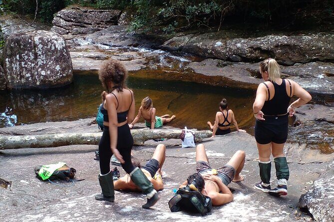 Sinharaja Rain Forest Bird Watching Guided Private Tour - An In-Depth Look at the Sinharaja Bird Watching Tour