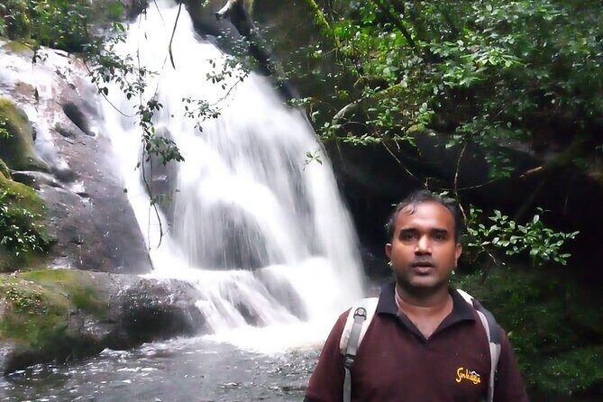 Sinharaja Rain Forest Bird Watching Guided Private Tour - The Sum Up