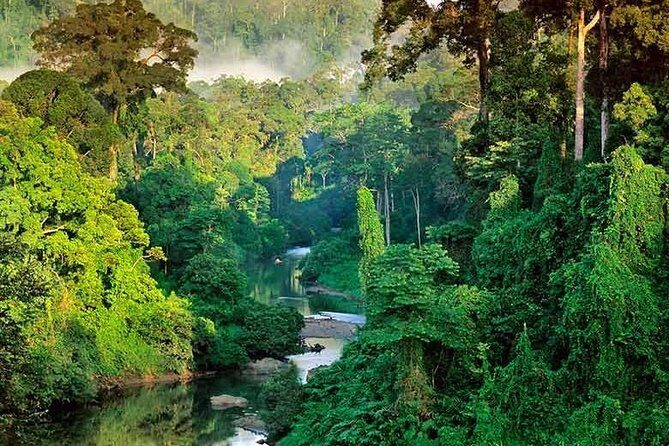 Sinharaja Rain Forest Guided Day Tour From Colombo and Negombo - Who Will Enjoy This Tour?