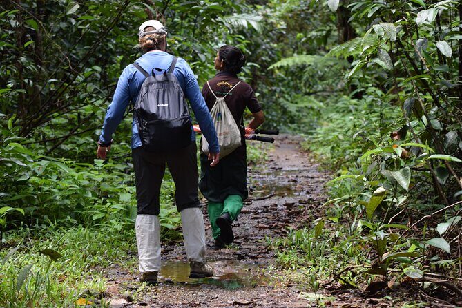 Sinharaja Rain Forest Tour from Colombo - FAQ