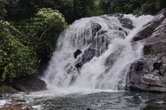 Sinharaja Rain Forest Waterfall Tour - Final Thoughts: Why This Tour Stands Out
