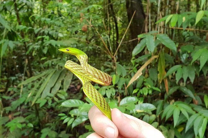 Sinharaja RainForest Private Full Day Tour - The Itinerary in Detail
