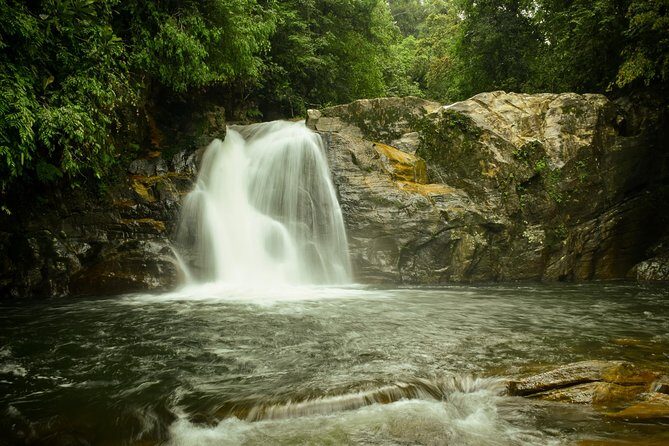 Sinharaja RainForest Private Full Day Tour - Frequently Asked Questions (FAQs)
