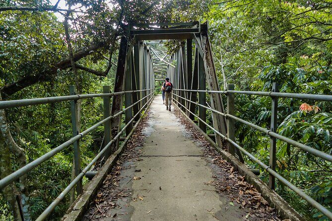 Sinharaja Rainforest Private Half Day Tour with Licensed Guide - An In-Depth Look at the Experience