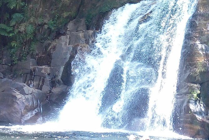 Sinharaja Rainforest Tour - FAQs