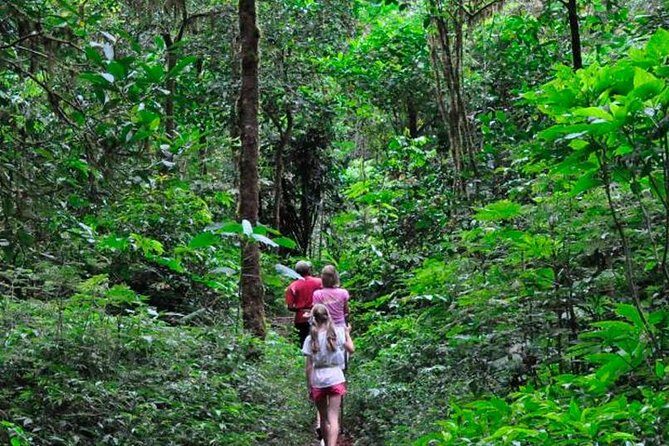 Sinharaja Trekking Day Trip - Private & All Inclusive - Who Will Love This Tour?