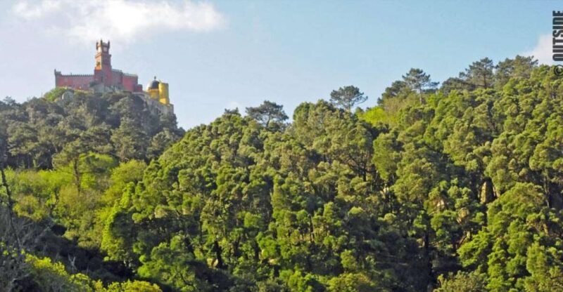Sintra: 3.5-Hour Rock Climbing Experience - Who Should Consider This Experience?