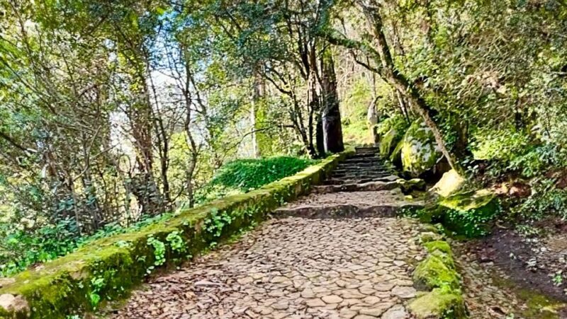 Sintra: Adventure hike around Sintra's most popular castles - A Deep Dive into the Sintra Adventure Hike
