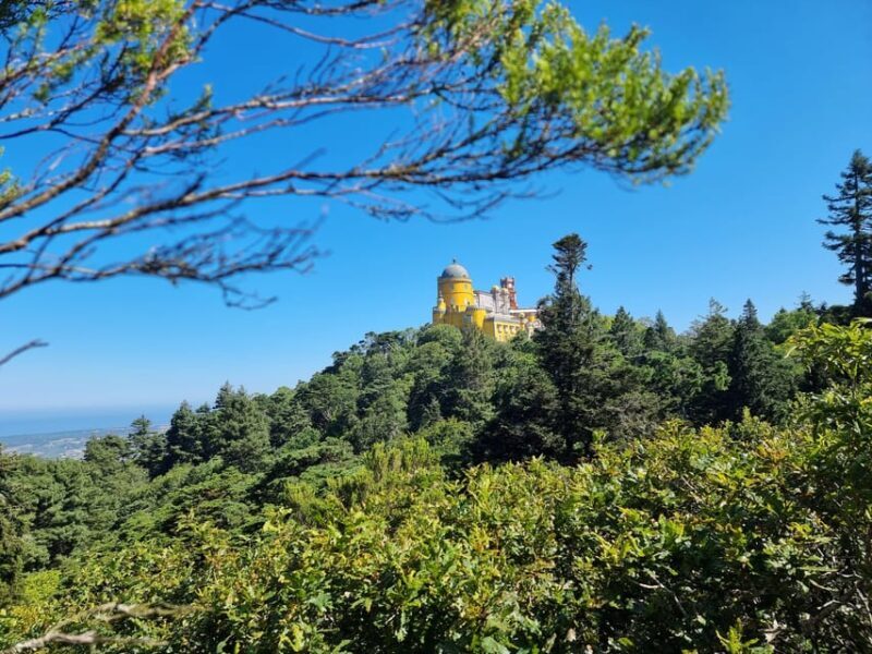 Sintra and Cascais: Magical Fairytale Tour - Key Points