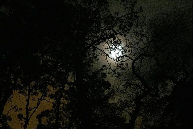 Sintra, Apparitions and Stories From the Mountains - Private Night Walk - Final Thoughts