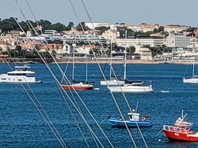 Sintra - Cabo Roca - Cascais Half Day Private Tour 4hrs - Who Would This Tour Suit Best?