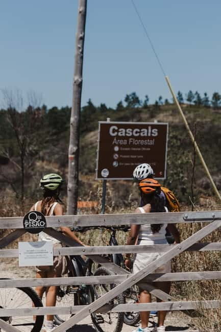 Sintra: E-bike tours of the incredible landscapes - Practical Details and Value