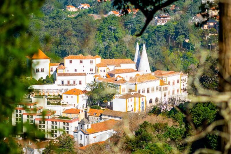 Sintra: Full-Day Private Tour & Pena Palace Entry Option - The Balance of Sightseeing and Leisure
