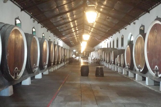 Sintra Full Day Private Wine Experience with Tastings from Lisbon - Visiting the Vineyards of Colares