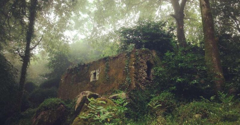 Sintra Guided Visit: Life and Death at the Capuchos Convent - Practical Information