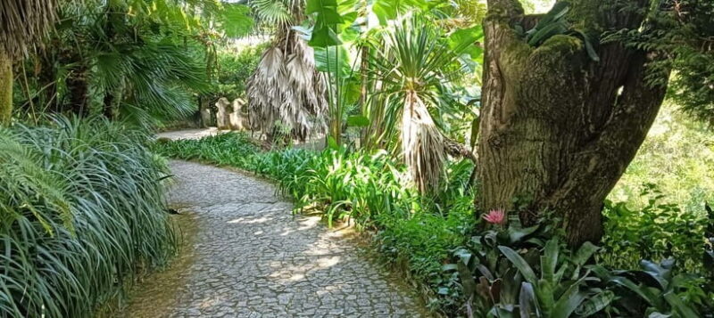 Sintra: Hidden Secrets Mountain Walk with Local Guide - Key Points