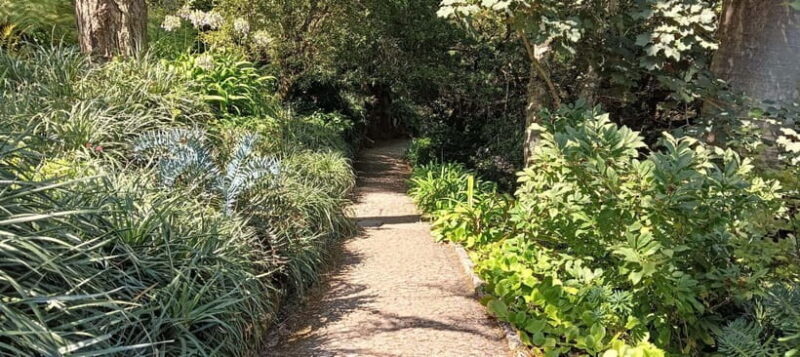 Sintra: Hidden Secrets Mountain Walk with Local Guide - An In-Depth Look at the Experience