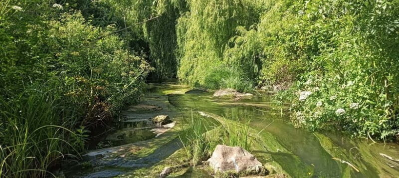 Sintra: Hidden Secrets Mountain Walk with Local Guide - The Sum Up