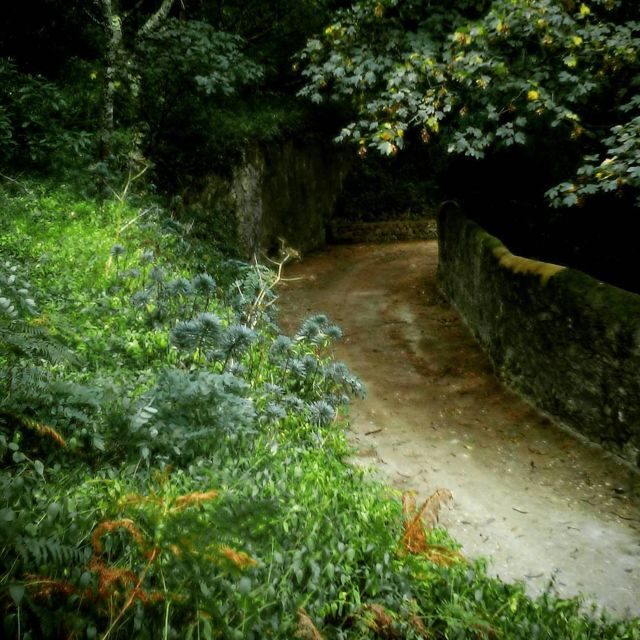 Sintra: Legends and Medieval Stories Private Walking Tour - What Makes This Tour Stand Out?