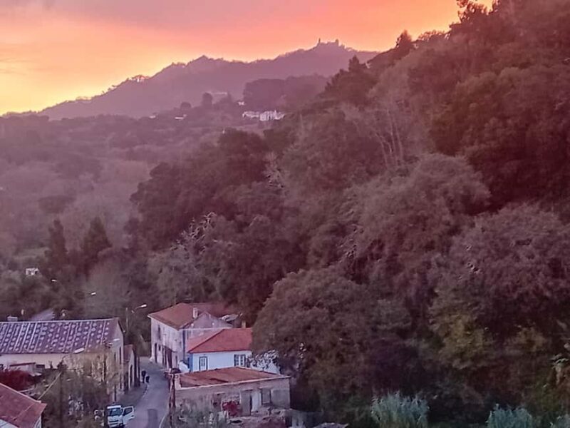 Sintra Mystic Forest Journey: Guided Tour in a Convertible. - Itinerary Breakdown