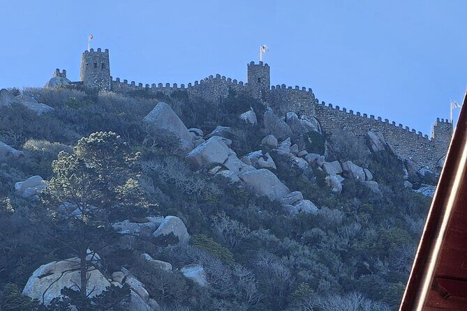 Sintra Palaces and Forest Private Tour - What the Reviews Highlight