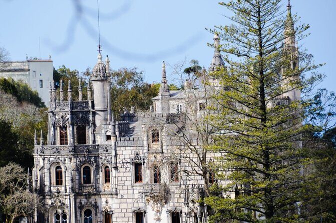 Sintra Palaces and Forest Private Tour - Practical Details and Tips for Travelers