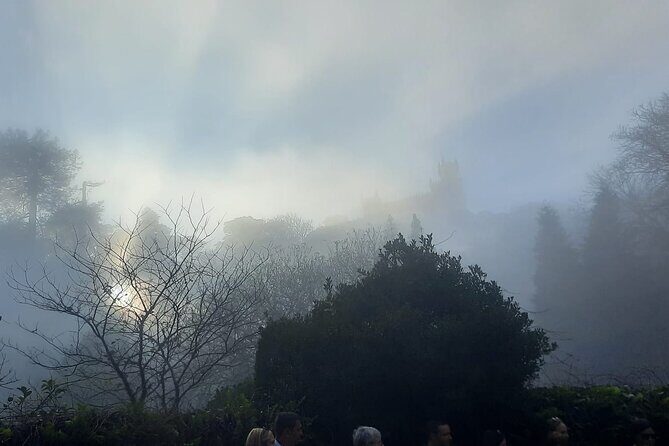 Sintra Palaces and Forest Private Tour - Frequently Asked Questions