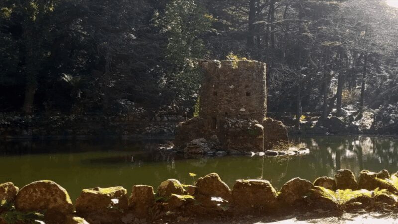 Sintra: Private Palaces, Moorish Castle, and Roca Cape Tour - Practicalities and Value