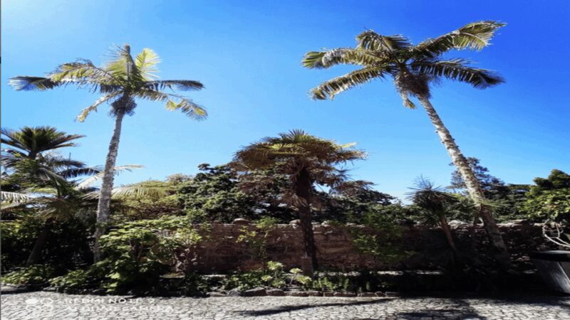 Sintra: Private Palaces, Moorish Castle, and Roca Cape Tour - Final Thoughts