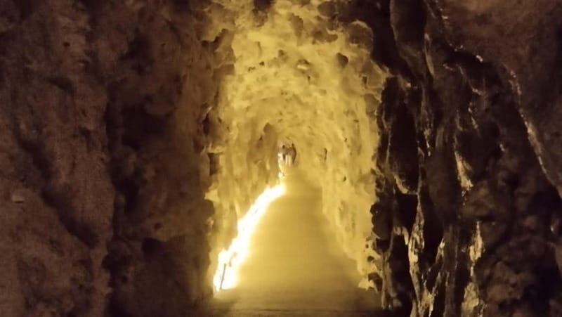 Sintra Private Tour w/Picnic: Pena Park & Qta da Regaleira - What Truly Sets This Tour Apart