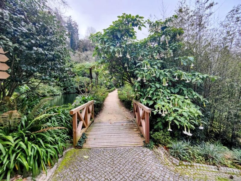 Sintra: Queluz Palace, Biester Palace, and Colares Winery - What Makes This Tour Stand Out?